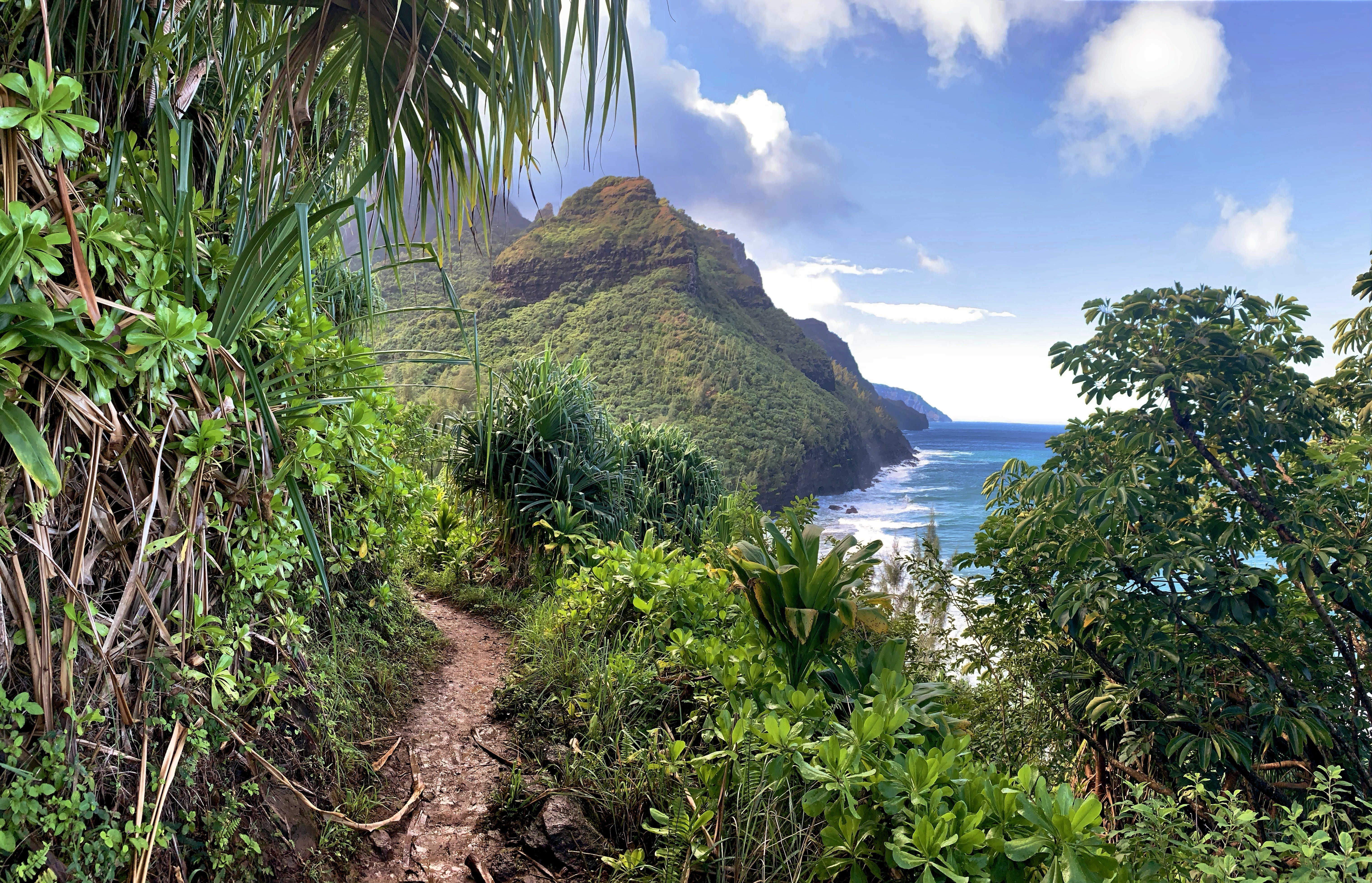 Cover Image for 20 Must-Do Experiences for Your Kauai Vacation!