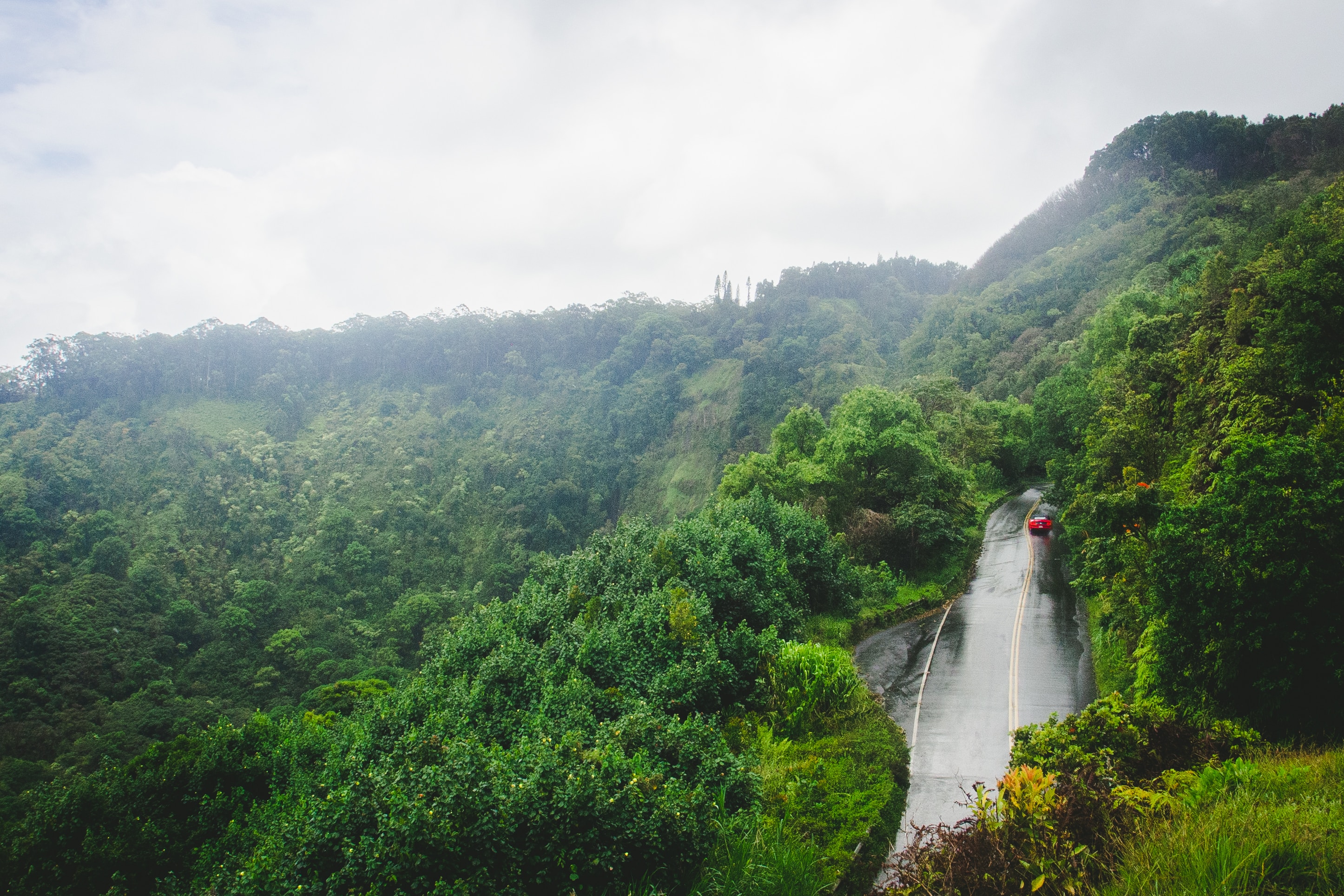 Cover Image for A Road Trip You'll Never Forget: Discover the Best of Road to Hana with Our Insider Tips!