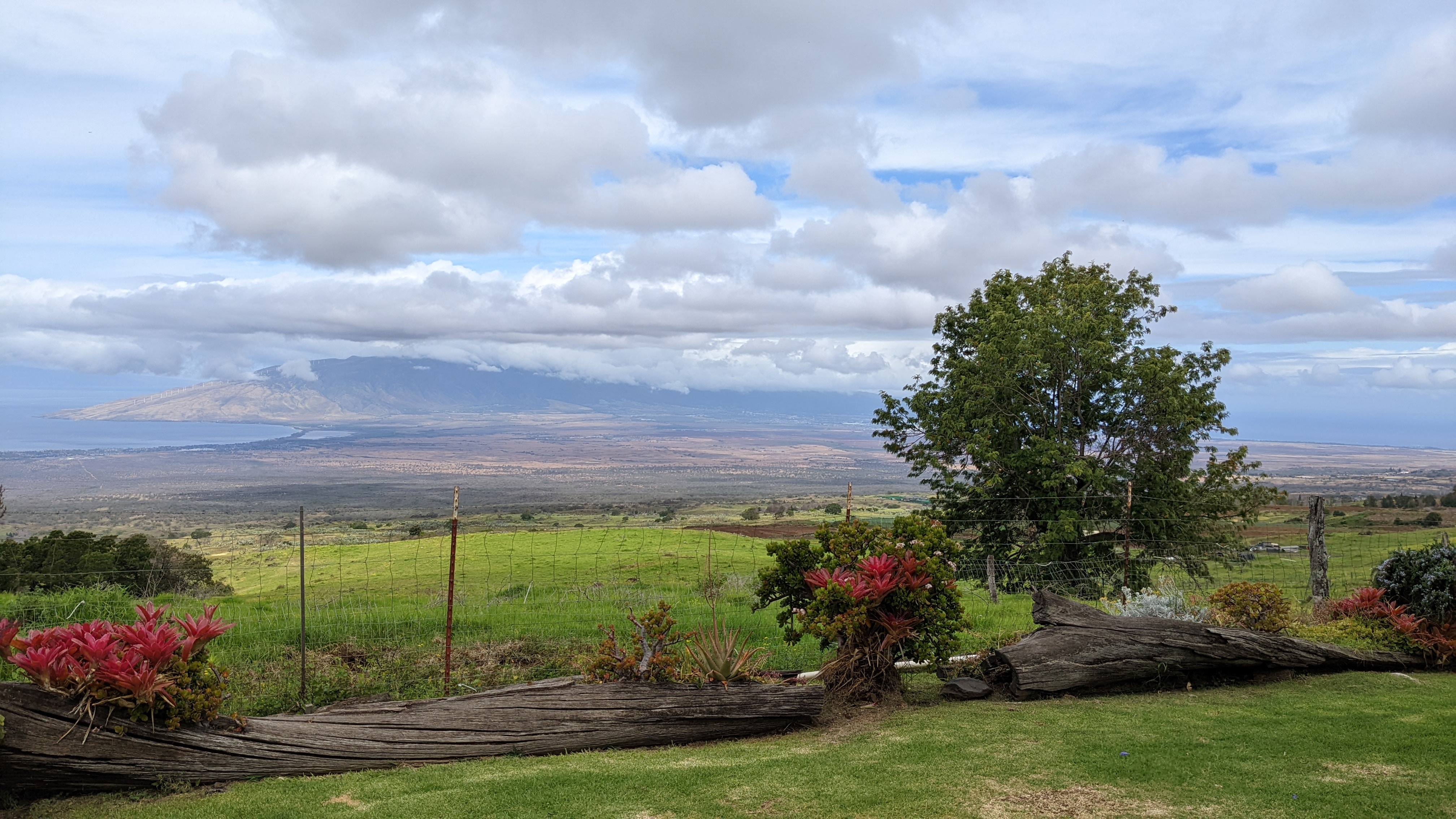 Cover Image for From Lavender Fields to Waterfalls: The Top 20 Natural Wonders in Upcountry Maui