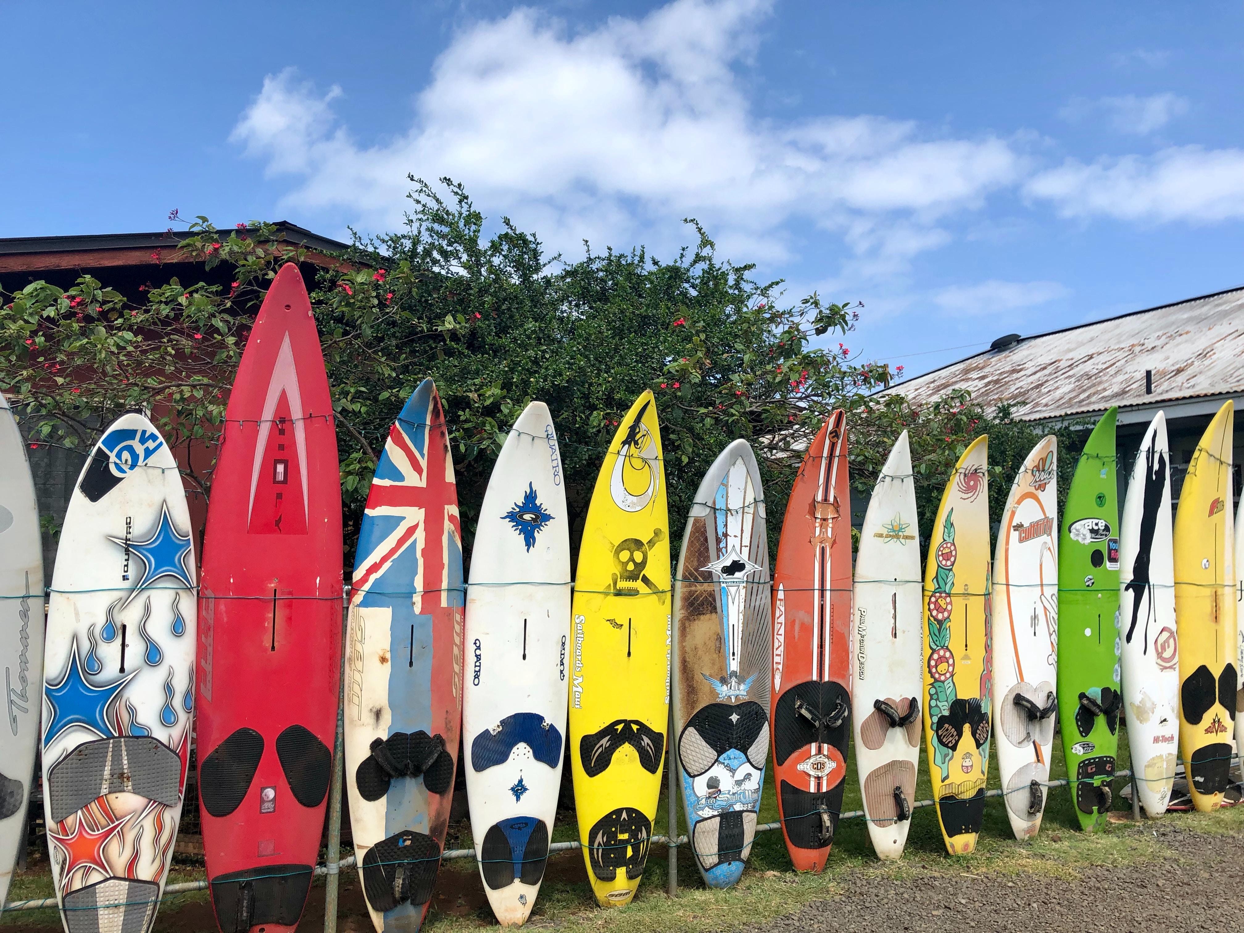 Cover Image for Yum for EVERYONE: Maui's Best Family-Friendly Restaurants!