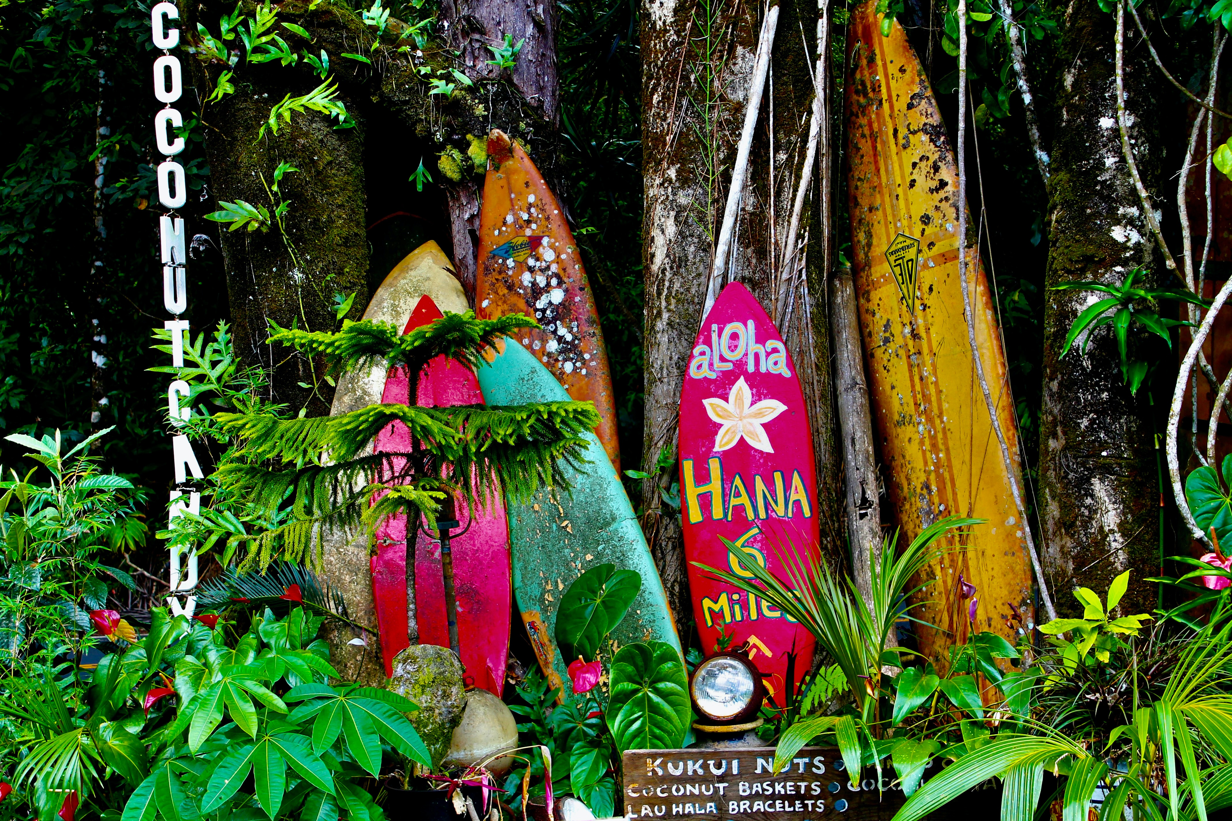 Cover Image for The Ultimate Guide to Maui: Tips and Recommendations from a Hawaiian Local