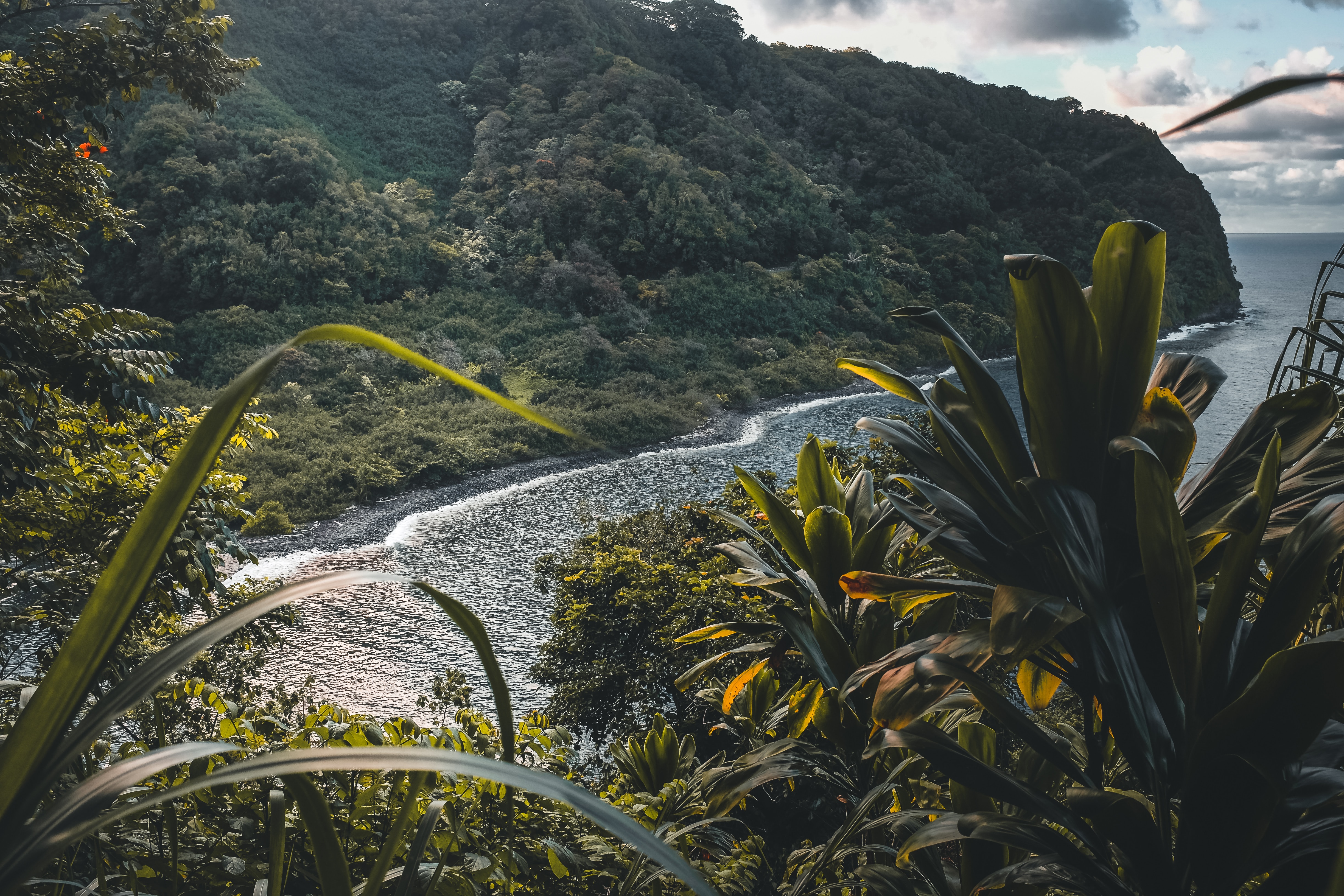 Cover Image for True Romance, The Ultimate Maui Honeymoon Bucket List: 20 Activities to Try